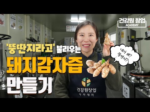 뚱딴지라 불리는 돼지감자 먹는법 궁금하셨죠? 돼지감자즙 만들기 | 임과장의 건강즙이야기 [건강원창업아카데미]