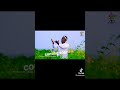 Baga Jala Bultii Ayyaana Irrecha Gessani