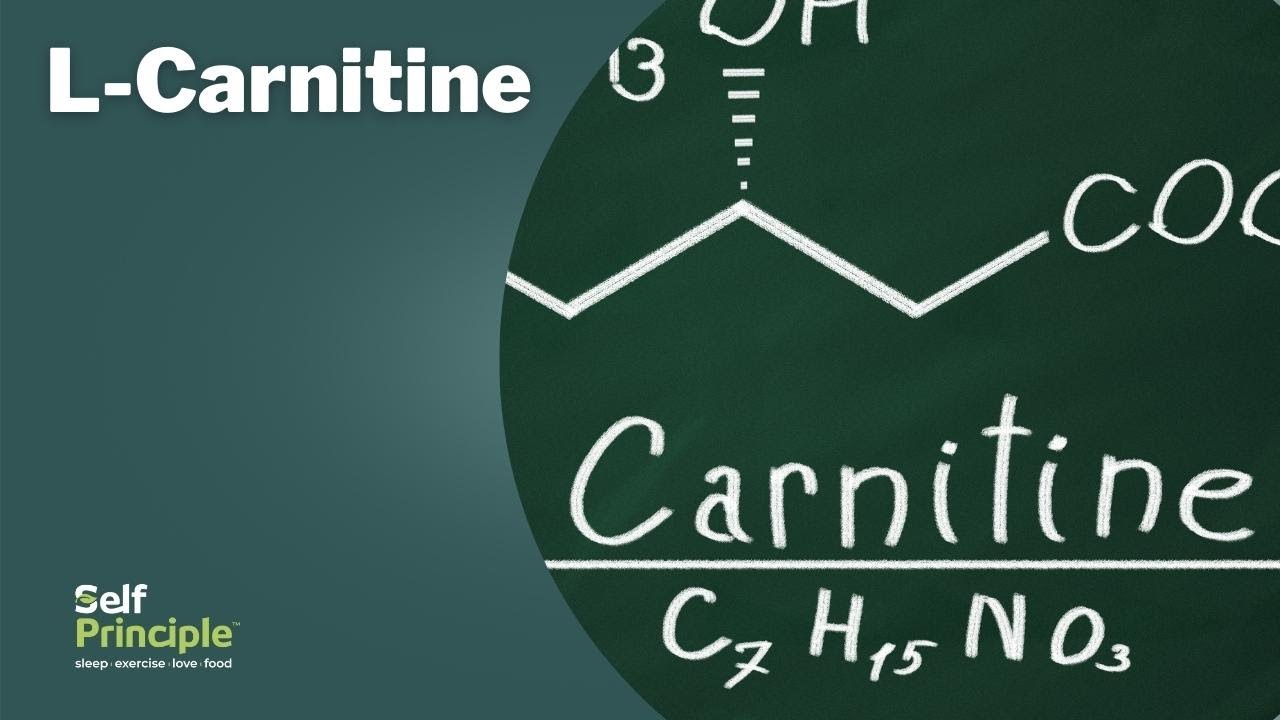 What you need to know about L-Carnitine