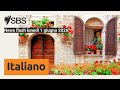 News flash lunedì 1 giugno 2026 | SBS Italian - SBS in Italiano