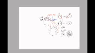 描かなくても10日でどんな絵も描けるようになる サクライラスト塾 描かなくても10日でどんな絵も描けるようになる サクライラスト塾