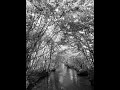 Nature b/w IPhone 13Pro #youtubeshorts #fyp #photography #videography
