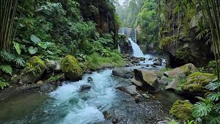 Still Not Sleeping 🌲 Forest River Waterfall Sounds For Deep Sleep And Calm Mind