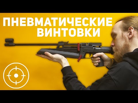 Видео: Выбор ПНЕВМАТИЧЕСКОЙ ВИНТОВКИ