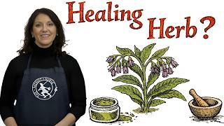 Why Herbalists Love Comfrey (And Why It's So Controversial)
