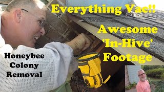Removing Honeybees With Mr. Ed | Using My Everything Bee Vac