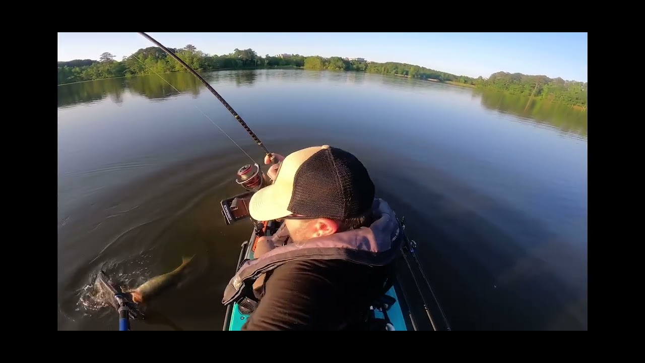 Watermelon w/ Red flake Senko , Lake Raleigh 5/10/23