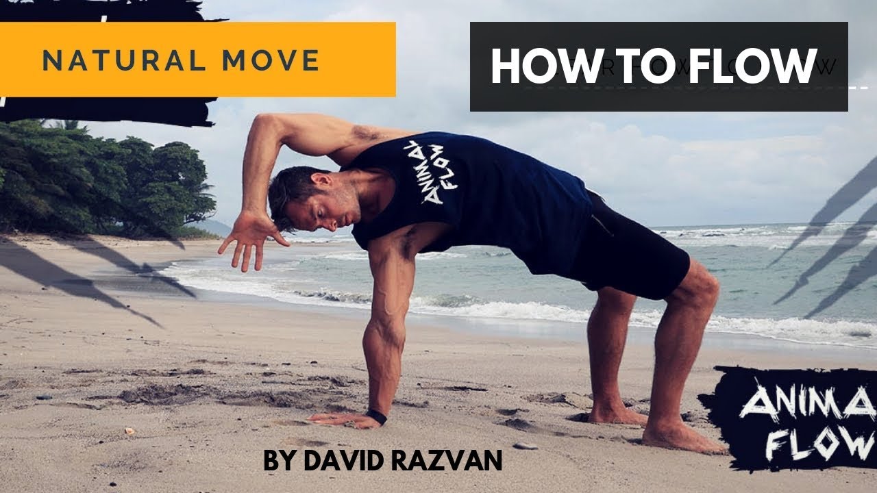 How To Flow | Animal Flow | Locomotion | Natural Movement | Primal