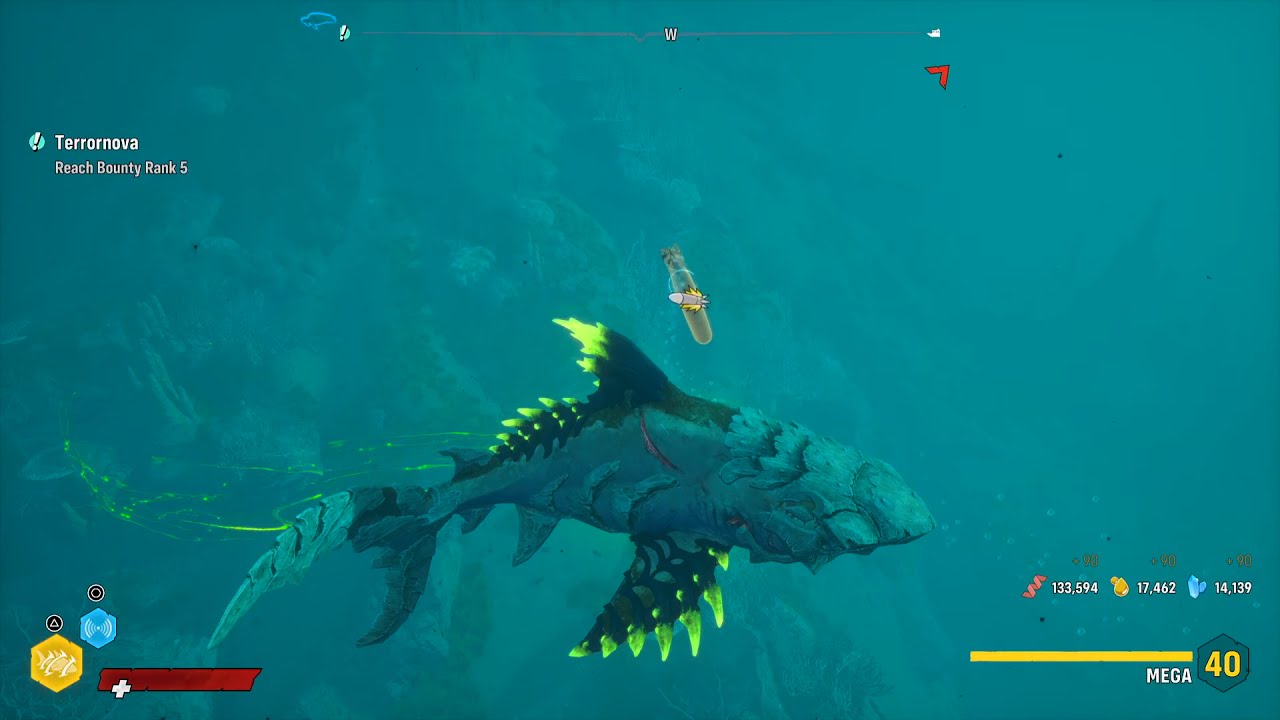 Maneater How to capture and use a torpedo