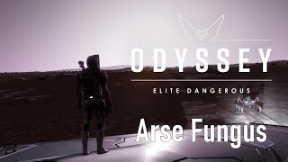 Elite Odyssey Alpha - Arse Fungus