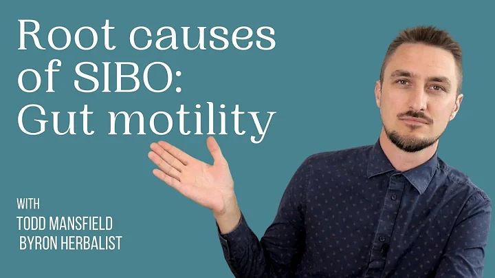 Root Causes of SIBO - Gut Motility