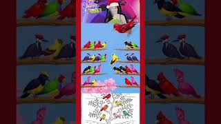 Happy Bird Escape Level 1427