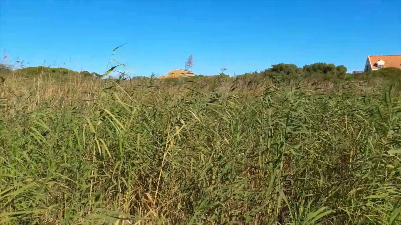 4561 Lakeside Drive plot for sale in Bettys Bay YouTube