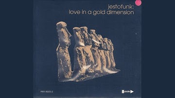 Jestofunk ‎– Find Your State Of Mind