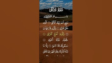 سورة الأعلى ... الشيخ سعد الغامدي