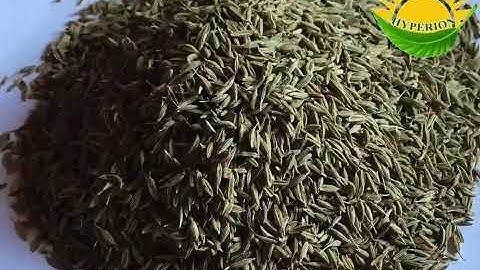 the official YouTube channel of Hyperion Herbs.In this welcome video