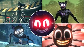 Cartoon Cat - Coffin Dance Song Cover