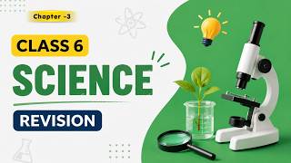 Mindful Eating: A Path to a Healthy Body | Class 6 Science | Chapter 3 Practice Questions |