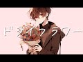 ドライフラワー / covered by Yuma【SynthesizerV AI】
