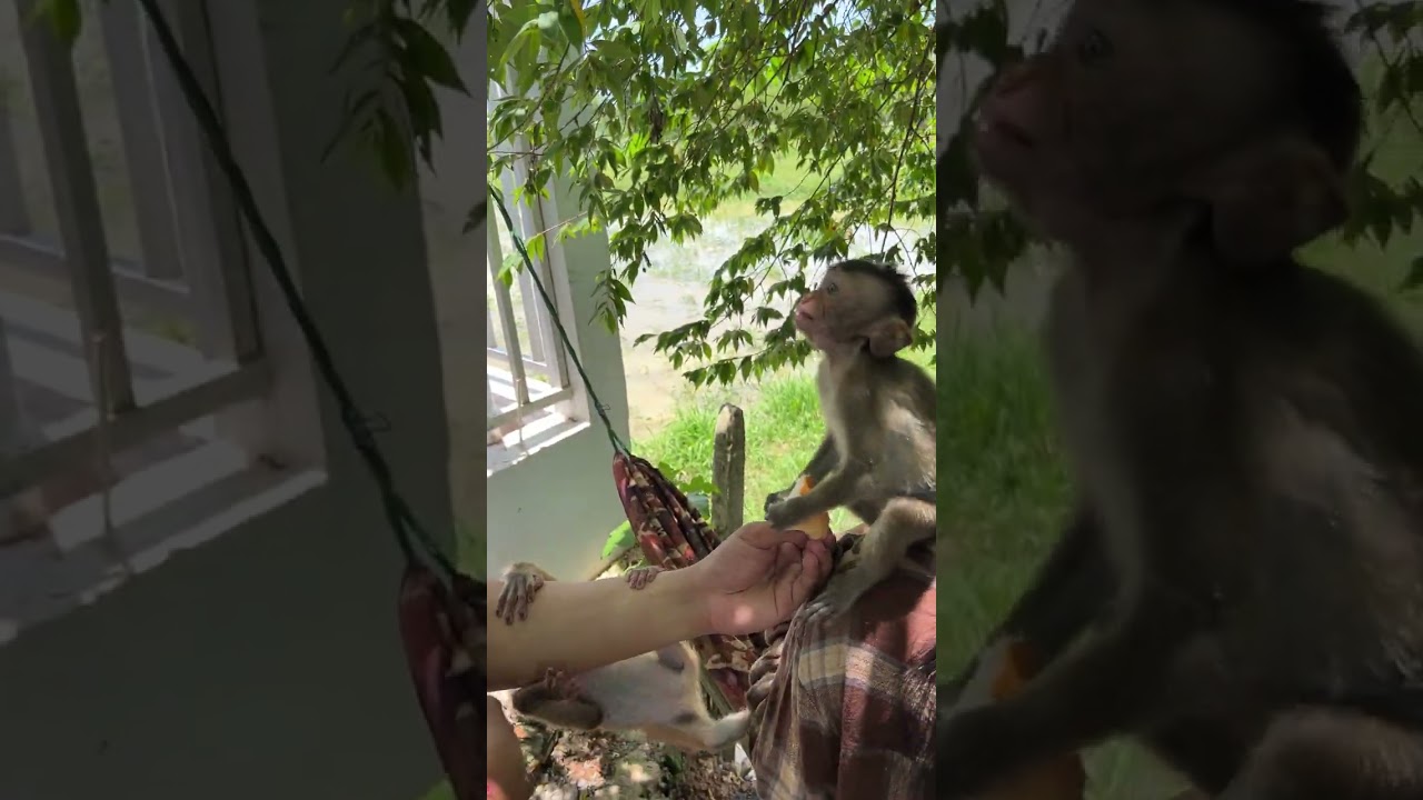 Little baby need warmly hug from mother 