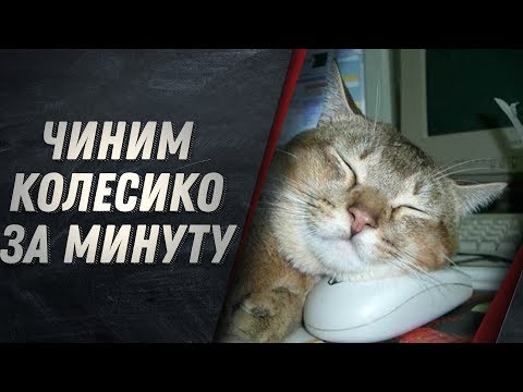 ЛАЙФХАК - ПОЧИНИТЬ КОЛЕСИКО МЫШКИ ЗА МИНУТУ НЕ РАЗБИРАЯ!