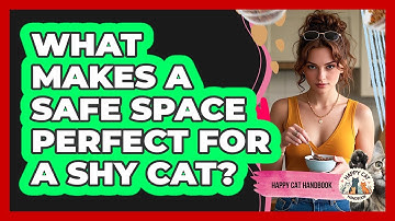 What Makes A Safe Space Perfect For A Shy Cat? - Happy Cat Handbook