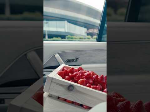 Range Rover | Wimbledon
