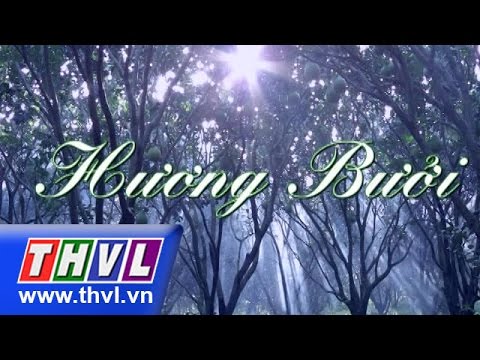 Video Hương bưởi - Tập 20 - youtube