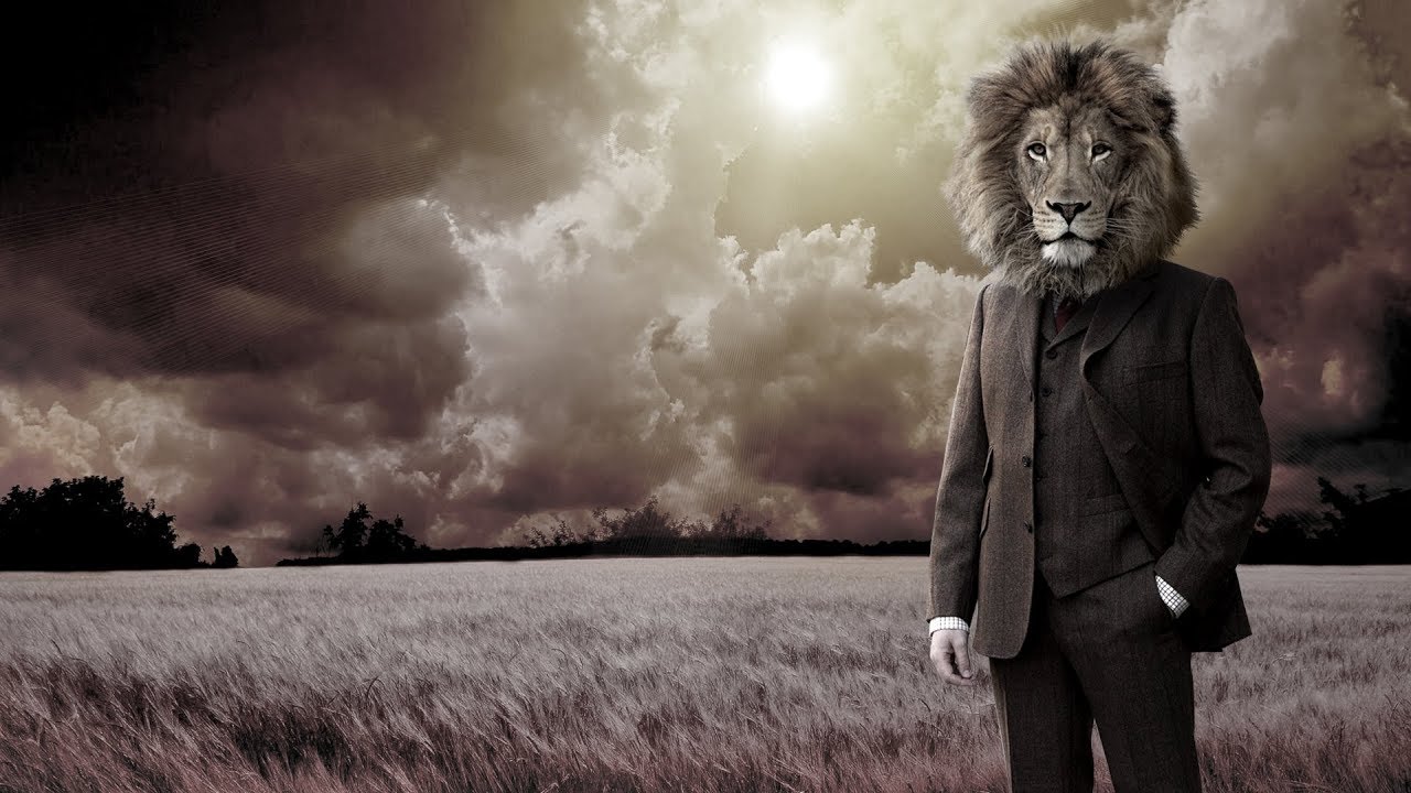 ⚫➤ NEO SOUL Instrumental (With Bridge) 🐯 REWILD YOURSELF 🐼 (Untagged) Soulful Type Beat by M.Fasol