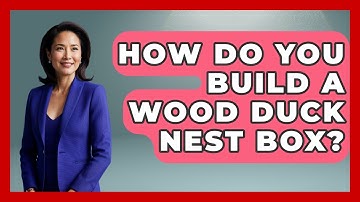 How Do You Build A Wood Duck Nest Box? - Bird Watching Diaries