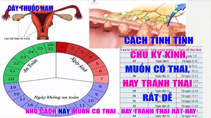 Độ dài chu kỳ kinh nguyệt tính như thế nào