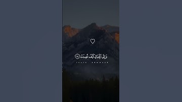 تلاوه خاشعه تقشعر منها الابدان بصوت ياسر الدوسري #quran #قران_كريم #ياسر_الدوسري #قران #اجر_لي_ولكم