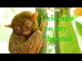 welcome to my channel ♥