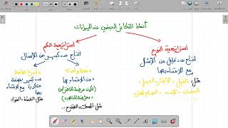 التكاثر و اعمار الاوساط الحيوانية و النباتية #مراجعة #ثانية_متوسط  #علوم_الطبيعة_و_الحياة