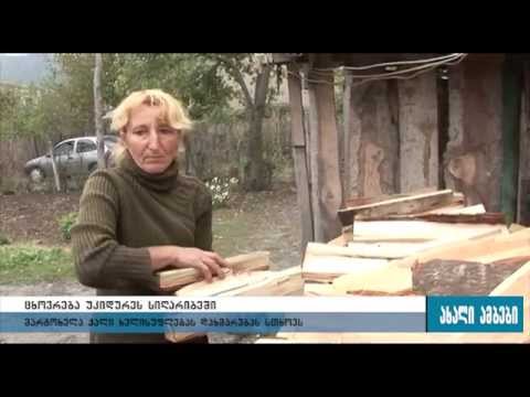 ცხოვრება ხის ნახევრად დაშლილ სახლში - 14.10.2015