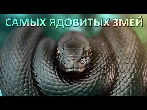 10 Самых Ядовитых