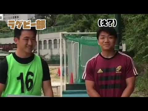 【ラグビー部】第60回上南戦コラボカウントダウン企画【第６弾】【上智大学応援団】【チアリーディング部EAGLES】