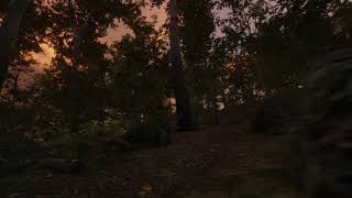 Unity - Forest Environment Demo - 870m