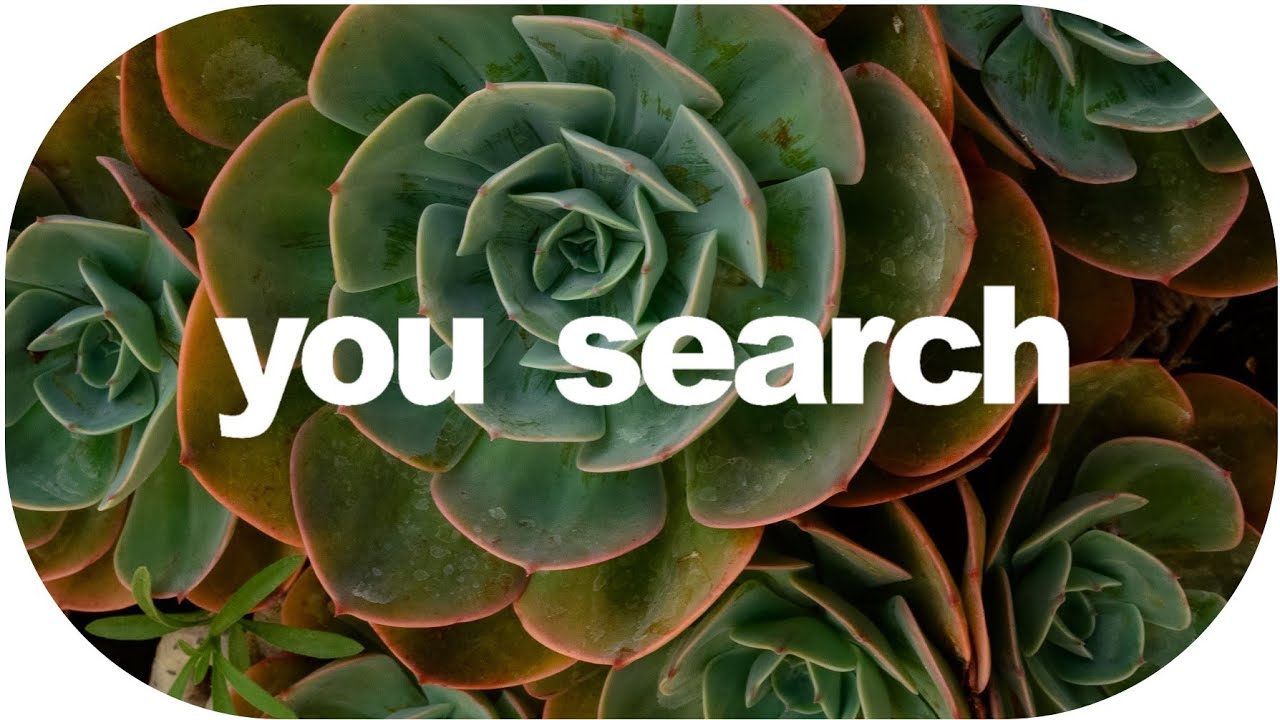 calm music - The golden present (copyright free music for monetization)