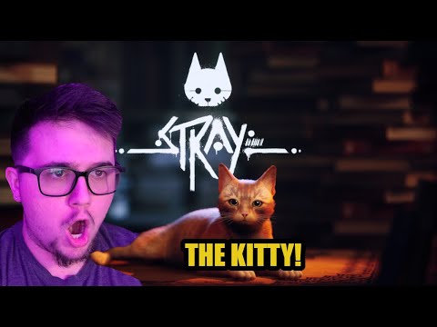 DaddyDitto Plays Stray Episode 1!