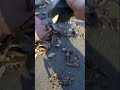 Камень добра  #стопхам #абакан
