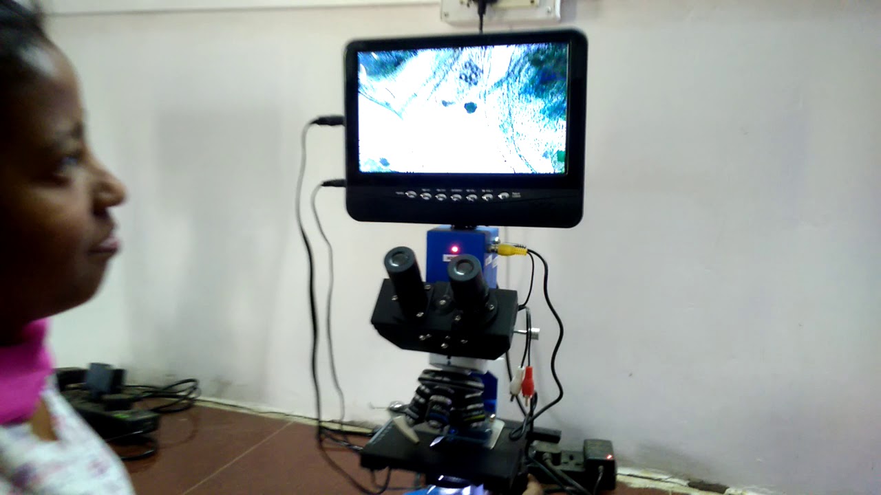Daphnia Slide Prepared In Fisheries Research Ranchi - 