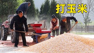 The whole family went out to fight corn and had a bowl of noodles to eat after being busy. It was s by 陕北改艳 6,638 views 3 weeks ago 9 minutes, 11 seconds
