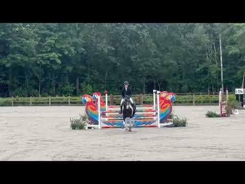 Rex Ter Linden foutloos Cyclus 4y - juni 2026
