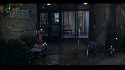 Rain and Snow Removal via Spatio-Temporal Frequency Analysis (3)