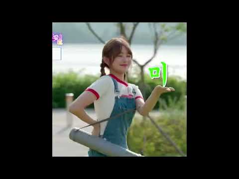 [레이] || 팔로팔로 팔로미