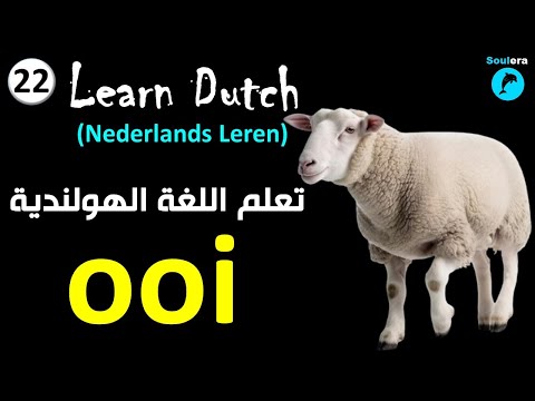 د22 خطوة 22 حالات خاصة في نطق حروف اللغة الهولندية 