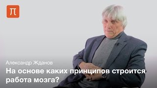 видео Алгоритм работы (процессы) вашего отдела продаж в будущей CRM системе. Инструкция и руководство (пошаговый план действий) по использованию CRM