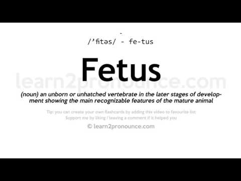 Pronunciation of Fetus | Definition of Fetus