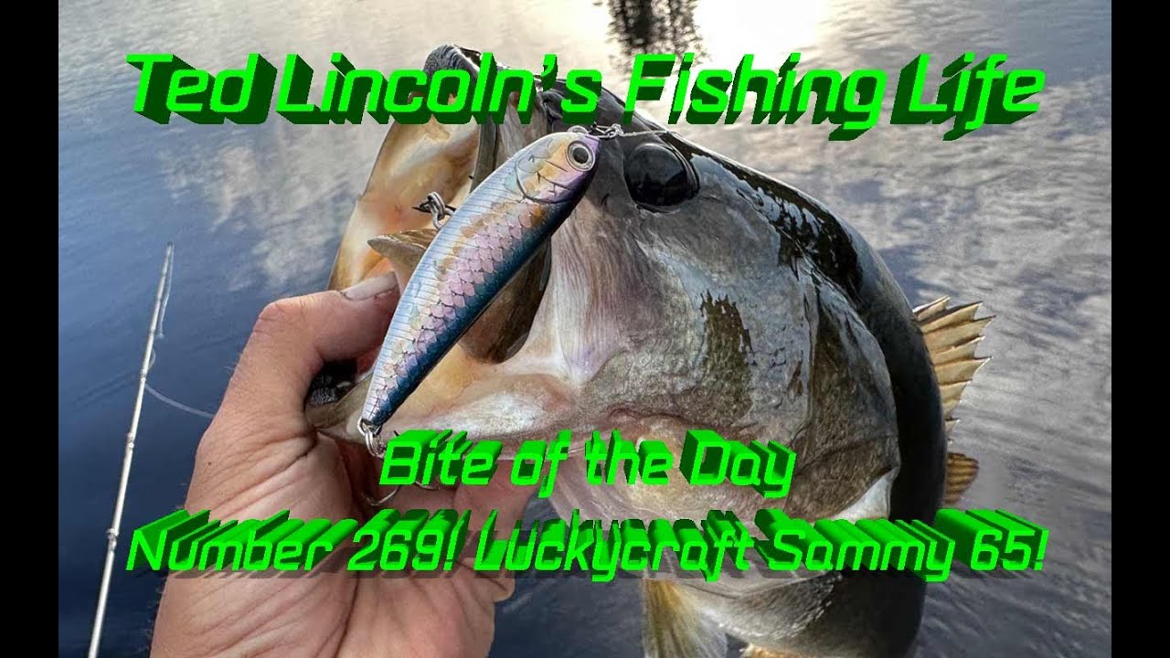 BOTD 269! Luckycraft Sammy 65 blow up!